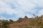 DSC_2519-2