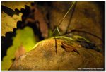 091010_2053_DSC_0725