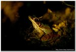 091010_2241_DSC_0750