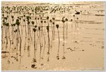 20091026_DSC_1316