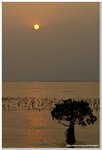 20091026_DSC_1397