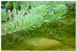 20091224_DSC_2897