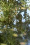 IMG_2825