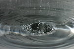 IMG_2686