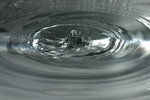 IMG_2740