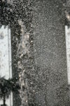 IMG_4812