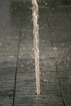 IMG_4818