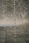 IMG_4819