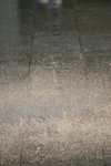 IMG_4824
