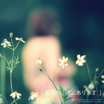 charlotte 1106100r