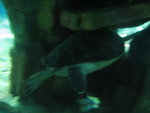 Img_0792