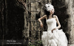 DSC_0879_adj2