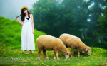 DSC_2044_adj