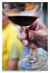 DSC_9686
