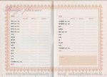 wedding planner 2