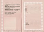 wedding planner 3