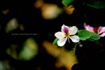 FLR_7627