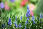 FLR_7345