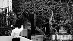 080413_0112