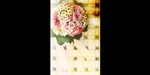 090626_0027a