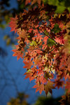 IMG_5119