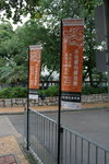 001_Stanley Dragon Boat