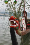 107_Stanley Dragon Boat