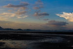 _MG_7552