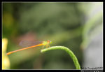 IMG_5658