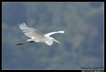 IMG_6912