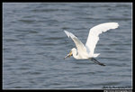 IMG_6928