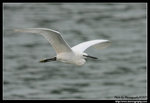 IMG_8605