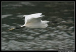 IMG_8613