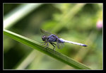 FungYuen_004_20051002