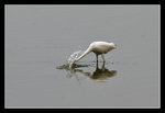 LukKeng_004_20051002