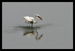 LukKeng_006_20051002
