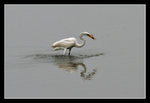 LukKeng_007_20051002