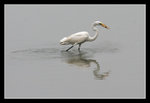 LukKeng_009_20051002