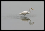 LukKeng_010_20051002