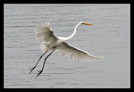 LukKeng_013_20051002