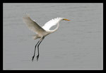 LukKeng_014_20051002