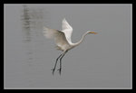 LukKeng_017_20051002