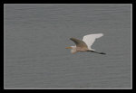 LukKeng_019_20051002