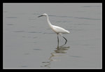 LukKeng_022_20051002