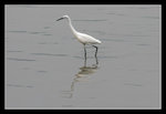 LukKeng_023_20051002