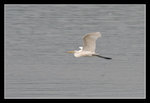 LukKeng_026_20051002