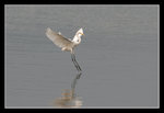 LukKeng_027_20051002