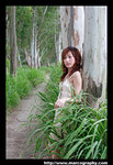 PP_NSW_060924_0017