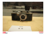 IMG_8794 copy