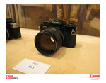 IMG_8802 copy